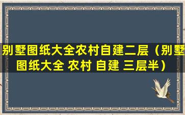 别墅图纸大全农村自建二层（别墅图纸大全 农村 自建 三层半）